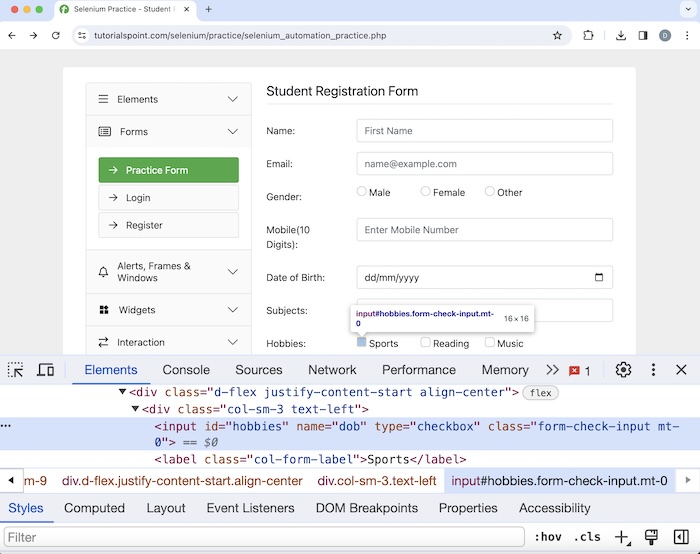 Selenium Checkbox 2