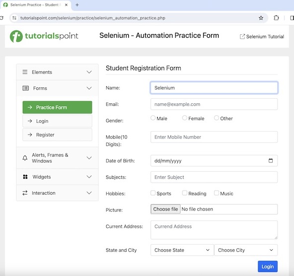 Selenium JavaScript Executor 1