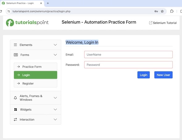 Selenium JavaScript Executor 2