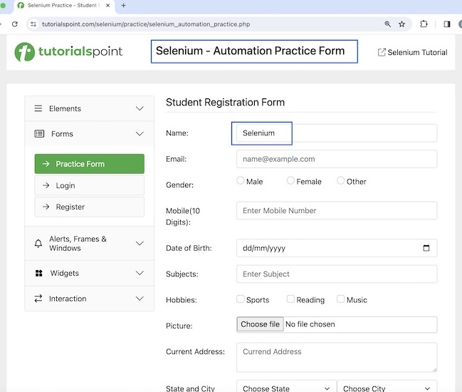 Selenium JavaScript functions 4