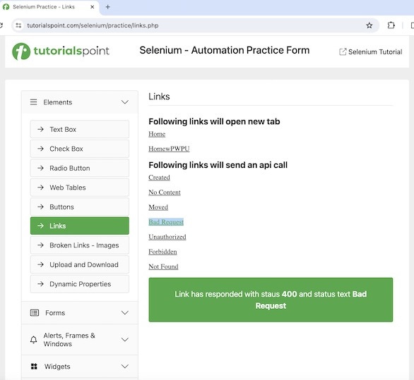 Selenium Locator Strategies 9