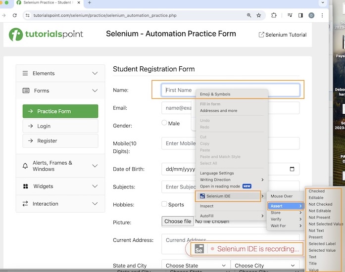 Selenium Verification Points 1