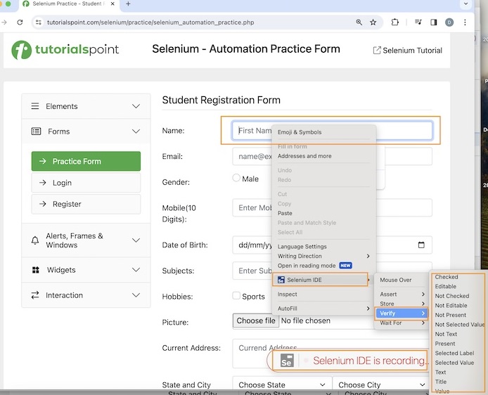 Selenium Verification Points 2