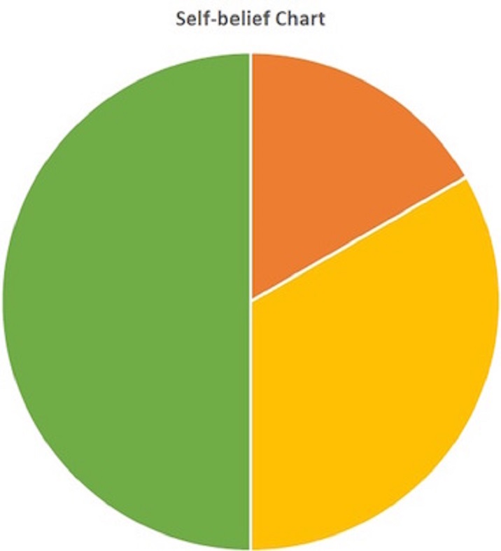 Self-Belief Chart