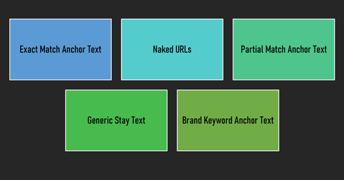 Anchor Text Types