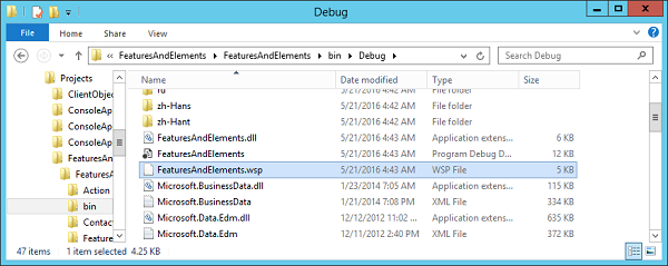 Debug Folder