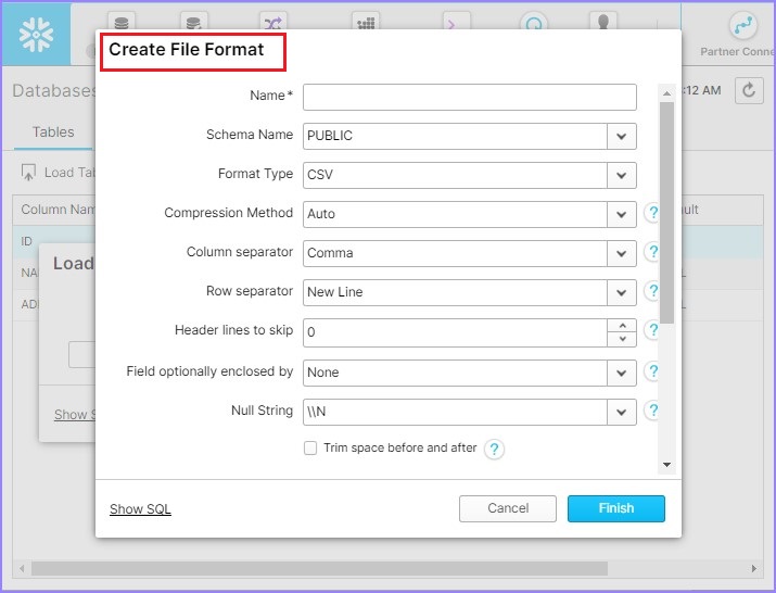 File Format Details