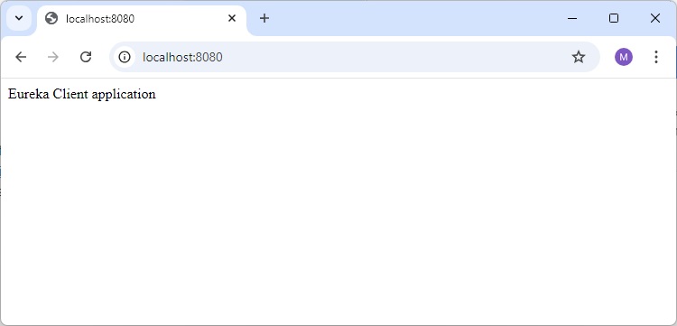 Eureka Client Application Output