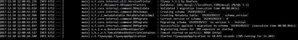 Flyway Database Logs