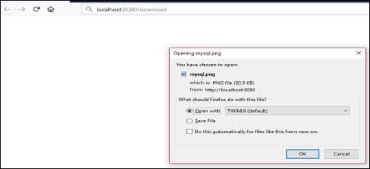 POSTMAN application File Upload