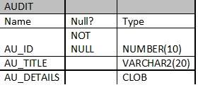 Table AUDIT