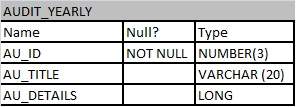 Table AUDIT_YEARLY