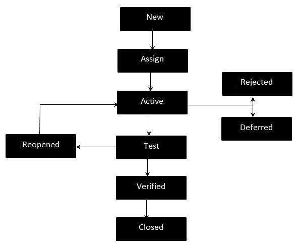 Defect Life Cycle