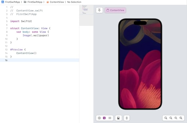 Customize Image View
