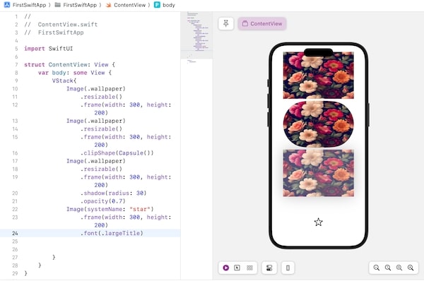 Customize Image View