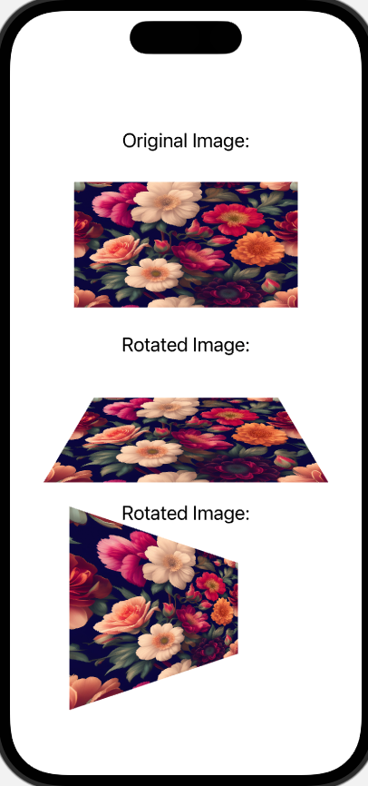 Rotating Image