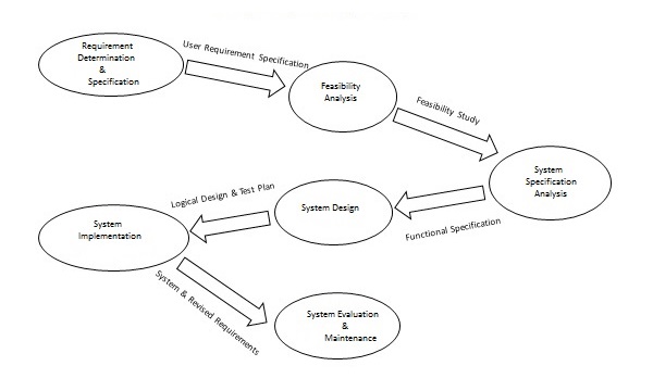 Life Cycle