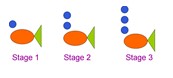 Finding patterns in shapes Example2