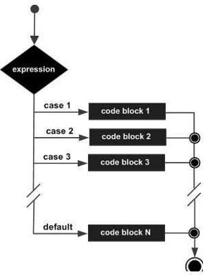 Switch Case Statement