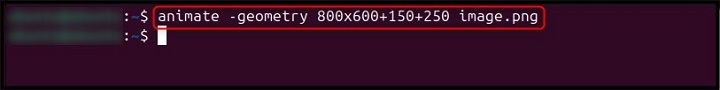 animate Command Linux 8