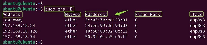 arp Command Linux 6