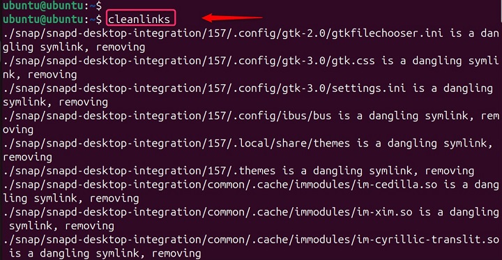 Basic Usage of cleanlinks Command