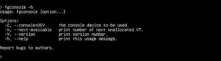 Displaying Help fgconsole Command