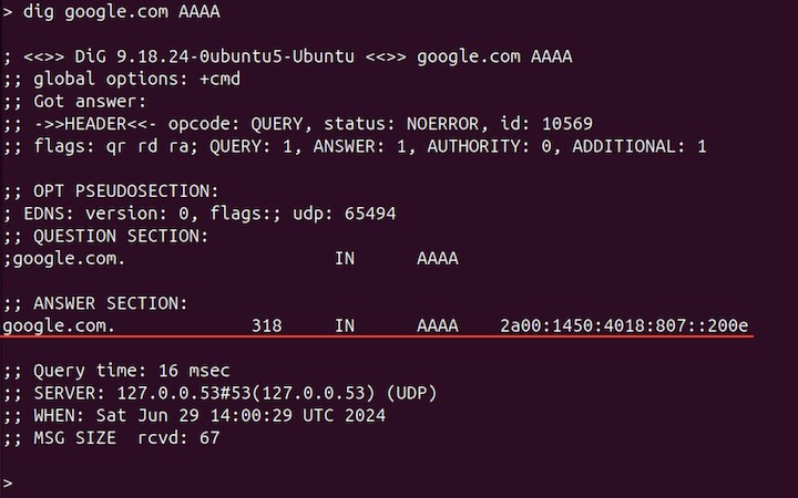 Displaying Various DNS Records 1