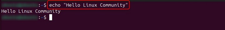 echo bash Commands in Linux