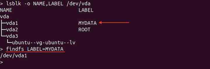 Finding Filesystem using LABEL 1