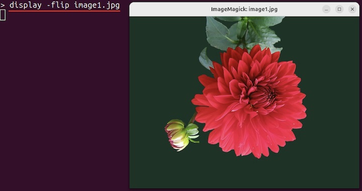 Flip Images display Command