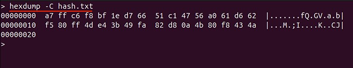 Generating a Message Digest of a File in Binary 2