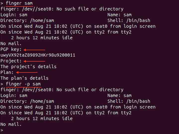 Information Skipping Project and Plan