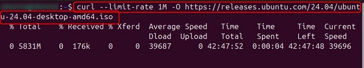 Limit Download Speed