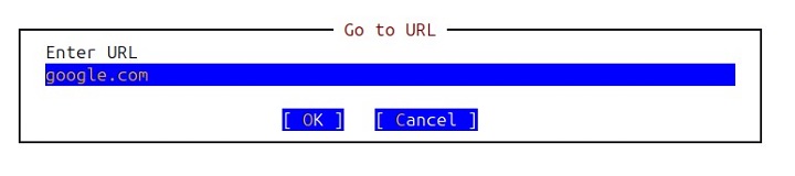 Navigate to a Specific URL elinks Command 1