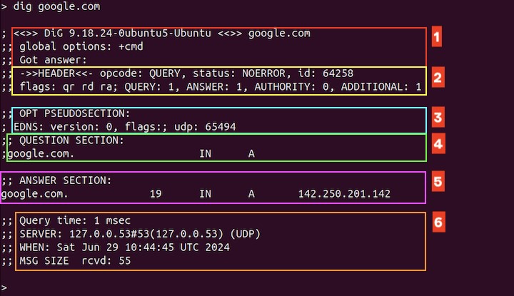 Querying a DNS Server