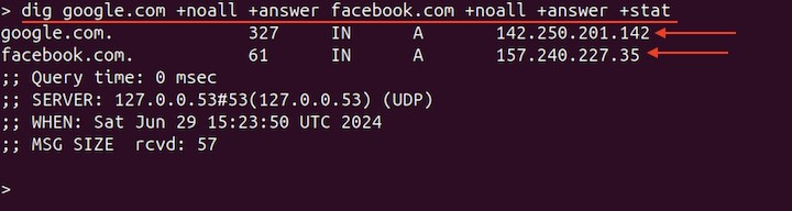 Querying Multiple DNS Servers