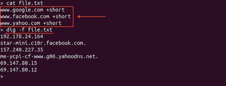 Querying Multiple DNS Servers from a File