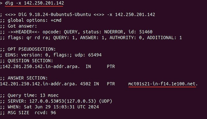 Reverse Querying the DNS