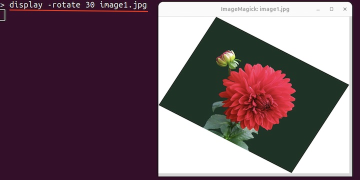 Rotate Images display Command