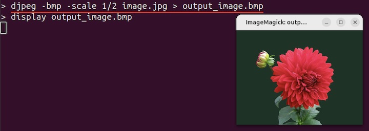 Scaling Image Size djpeg