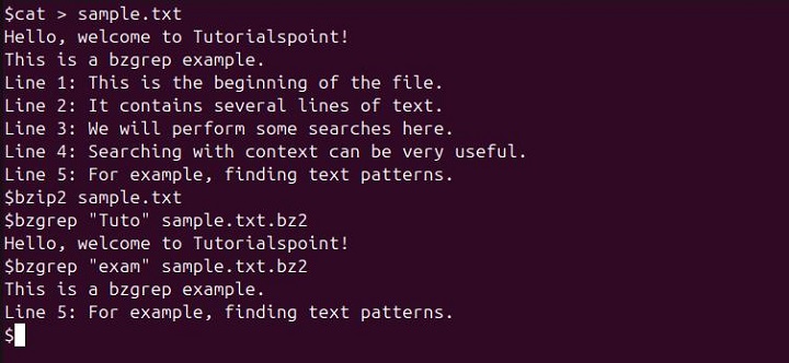 Specific Pattern Within bzip2-compressed