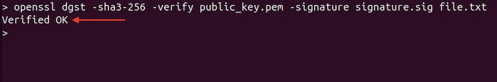 Verifying Signature using Public Key