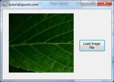 VB.Net Open File Dialog Example