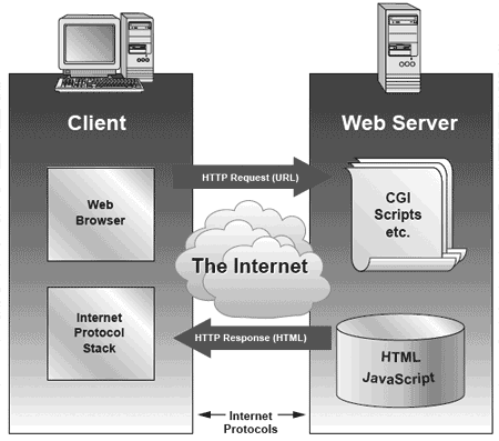 The Internet Model