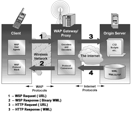 The WAP Model